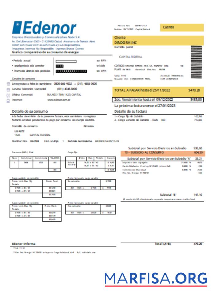 Blank Edenor easy to fill utility business bill SCR download for verification